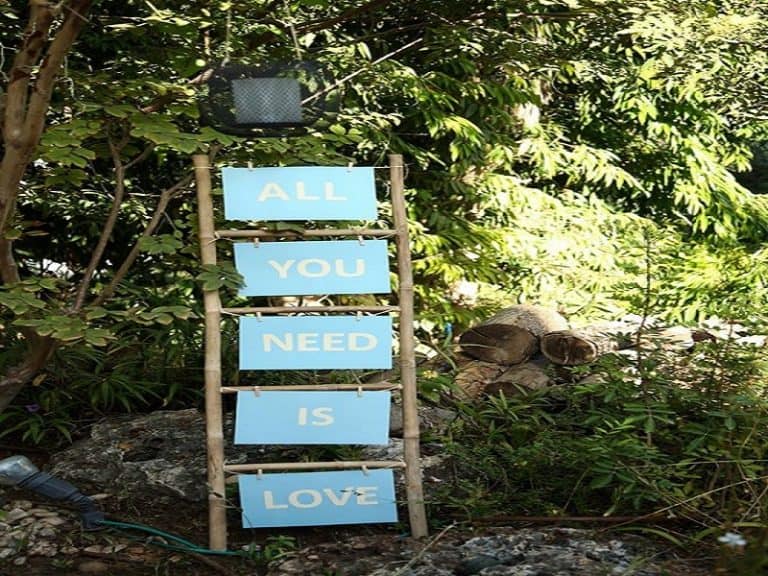 חתונות בטבע