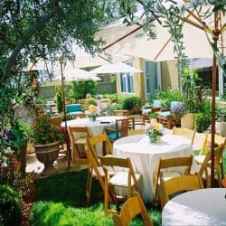 חתונה בוילה